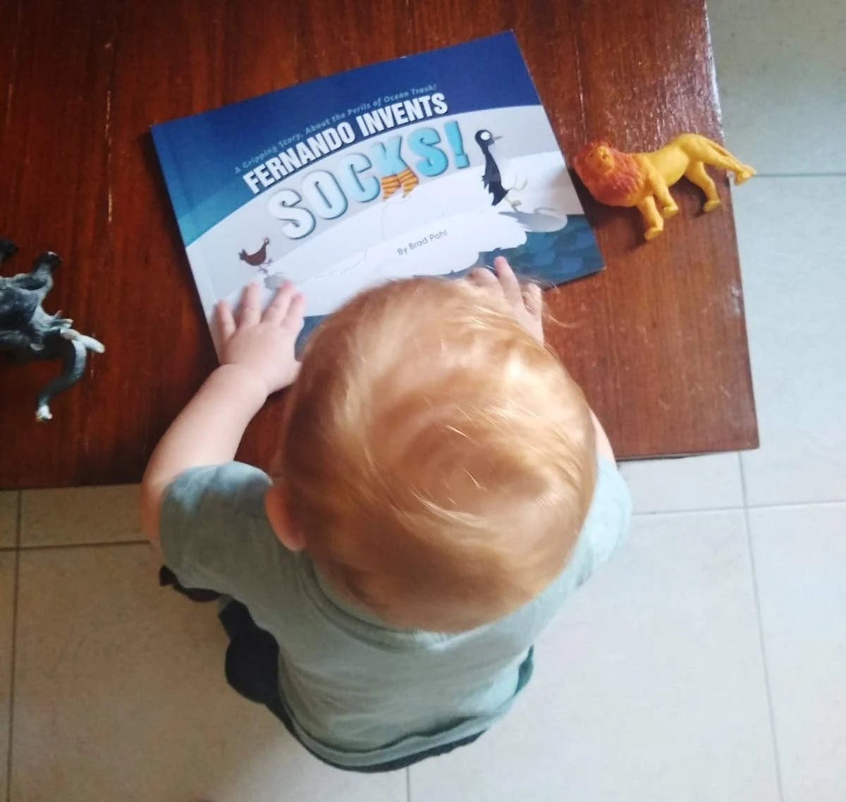 Fernando Invents Socks! Original Softcover