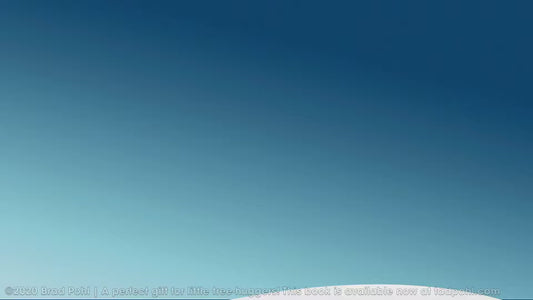 Fernando Invents Socks! Original Softcover